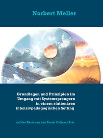 Grundlagen und Prinzipien im Umgang mit Systemsprengern in einem stationären intensivpädagogischen Setting - auf der Basis von den Taoist Cultural Arts