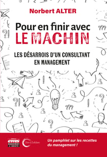 Pour en finir avec le Machin - Les désarrois d'un consultant en management
