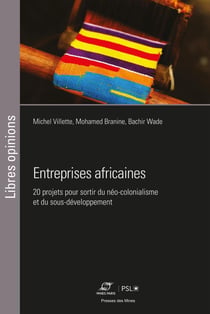 Entreprises africaines - 25 projets pour sortir du néo-colonialisme et du sous-développement