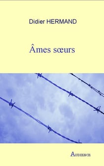 Âmes sœurs - Un roman poignant