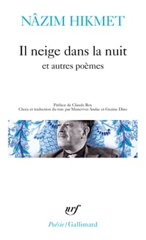 Il neige dans la nuit et autres poèmes