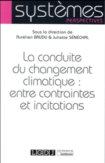 La conduite du changement climatique : entre contraintes et incitations