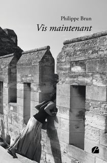 Vis maintenant