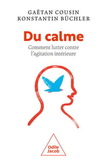 Du calme - Comment lutter contre l'agitation intérieure