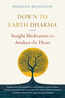 Down to Earth Dharma - Insight Meditation to Awaken the Heart