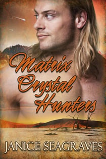 Matrix Crystal Hunters - Matrix Crystal Saga, #2