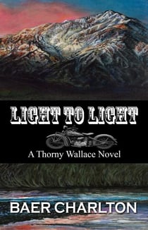 Light to Light - A Thorny Wallace Novel, #2