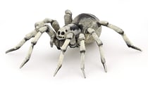 Figurine Papo - Tarentule