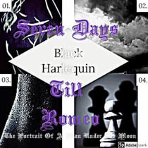 Black Harlequin The Romance Revealed: The Portrait Of A Man Under The Moon - Black Harlequin The Romance Revealed, #4