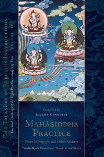 Mahasiddha Practice - From Mitrayogin and Other Masters, Volume 16 (The Treasury of Precious Instructions)