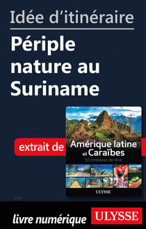 Id?e d'itin?raire - P?riple nature au Suriname