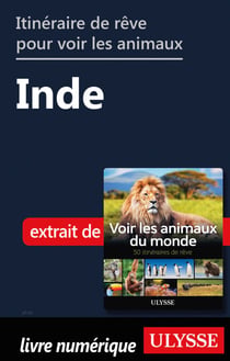 Itinéraire de rêve pour voir les animaux - Inde