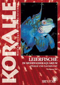 Leierfische im Meerwasseraquarium - Pflege und Nachzucht