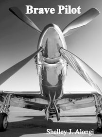 Brave Pilot