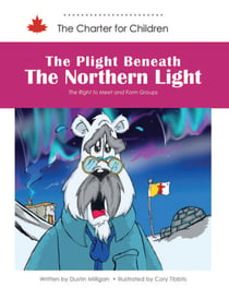 The Plight Beneath the Northern Light - The Right to Meet and Form Groups