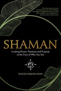 Shaman - Invoking Power, Presence and Purpose at the Core of Who You Are