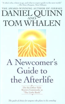 A Newcomer's Guide to the Afterlife - On the Other Side Known Commonly as The Little Book