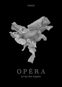 Opéra - Le Lac des cygnes