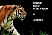 Urban Tiger Book Tw - Urban Tiger, #1