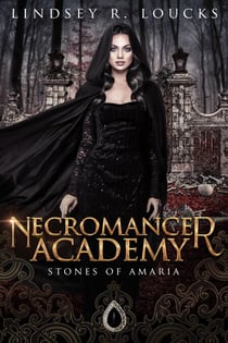 Necromancer Academy - Stones of Amaria, #1