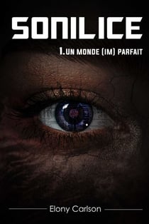 Sonilice - 1. Un monde (im)parfait