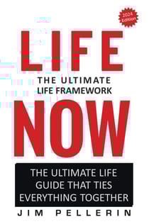 Life Now - The Ultimate Life Framework - Life Now, #1