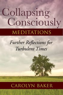 Collapsing Consciously Meditations - Further Reflections for Turbulent Times