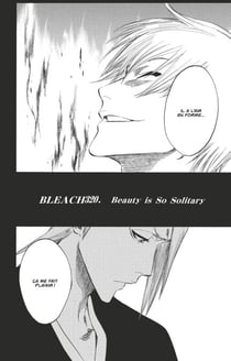 Bleach - T37 - Chapitre 320 - Beauty is So Solitary