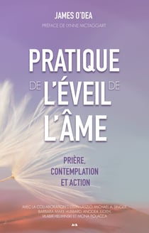 Pratique de l’éveil de l’âme - Prière, contemplation et action
