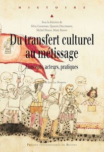 Du transfert culturel au métissage - Concepts, acteurs, pratiques