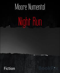 Night Run