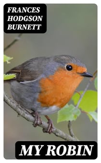 My Robin
