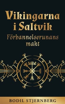 Vikingarna i Saltvik - Förbannelserunans makt