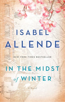 In the Midst of Winter - A Novel