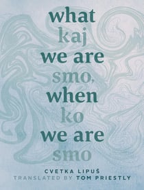 What We Are When We Are - Kaj smo, ko sm