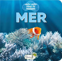 Cache-cache dans la nature : mer