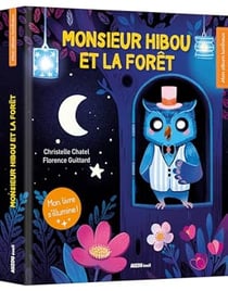 Monsieur hibou et la forêt