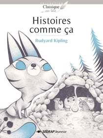 Histoires comme ça - roman