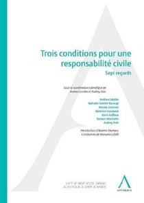 trois conditions pour une responsabilité civile