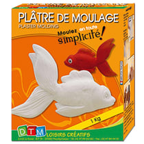 Boîte de plâtre pour moulage 1kg  - DTM