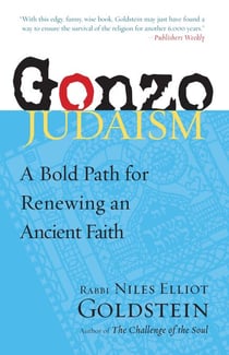 Gonzo Judaism - A Bold Path for Renewing an Ancient Faith