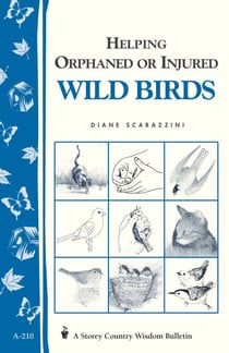 Helping Orphaned or Injured Wild Birds - Storey's Country Wisdom Bulletin A-210