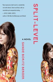 Split-Level - A Novel