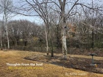Thoughts From The Soul:  My Journal In A Book Of Poems