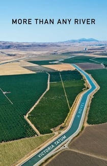 More Than Any River - A Novel