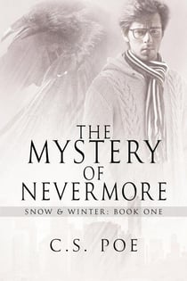 The Mystery of Nevermore - Snow & Winter, #1