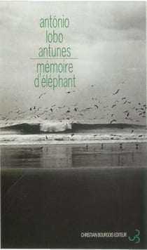 Mémoire d'éléphant