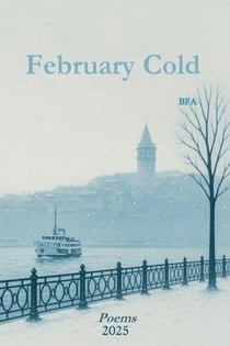February Cold - My Poems