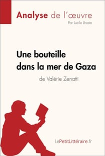 Une bouteille dans la mer de Gaza de Valérie Zenatti (Fiche de lecture) - Analyse complète, résumé détaillé et clés de lecture du roman jeunesse sur le conflit israélo-palestinien