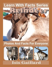 Reindeer Photos and Facts for Everyone - Learn With Facts Series, #93